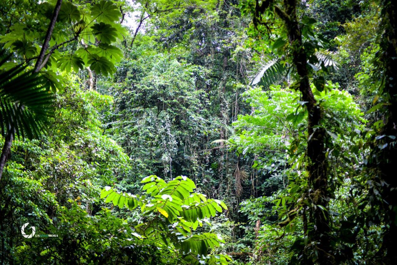 Princesa De La Luna Ecolodge La Fortuna Zewnętrze zdjęcie