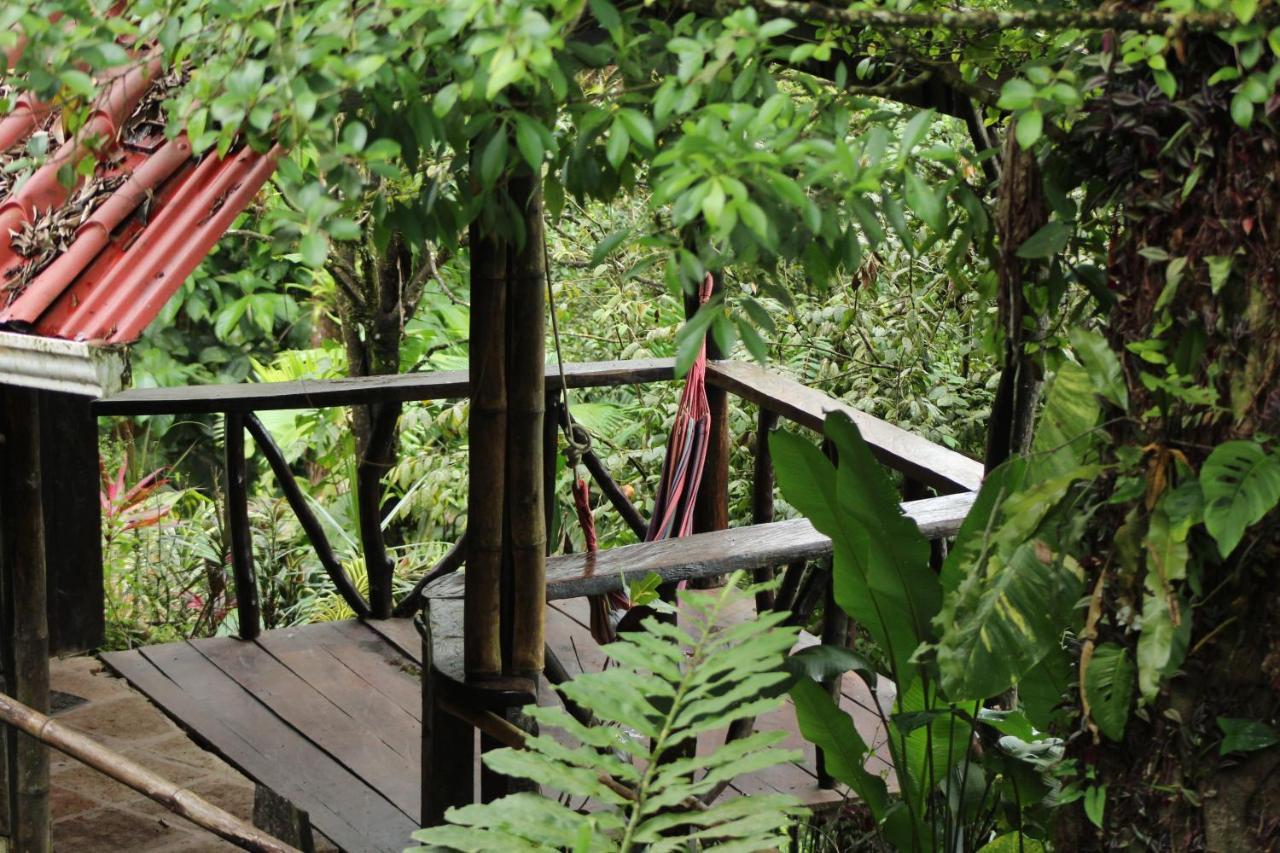 Princesa De La Luna Ecolodge La Fortuna Zewnętrze zdjęcie