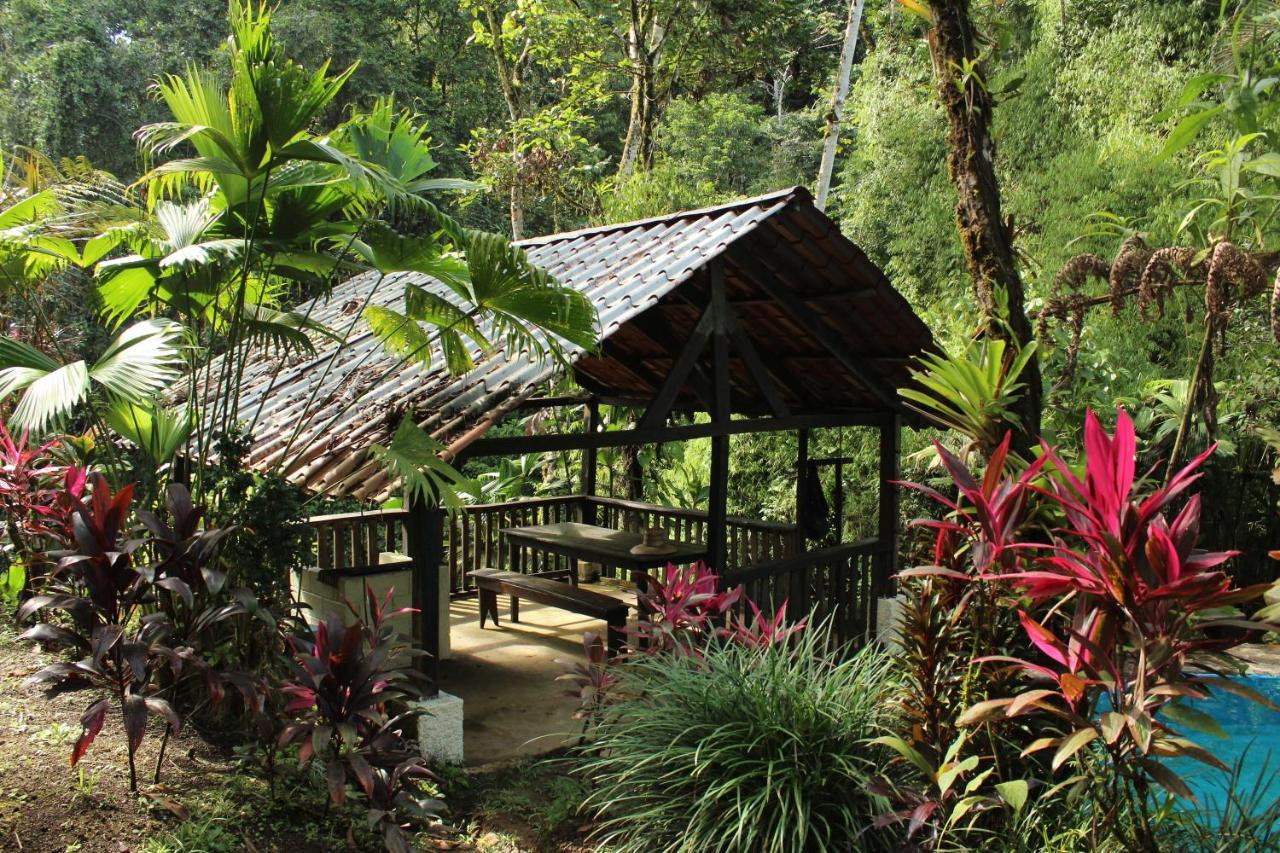 Princesa De La Luna Ecolodge La Fortuna Zewnętrze zdjęcie
