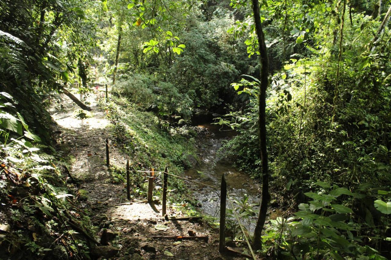 Princesa De La Luna Ecolodge La Fortuna Zewnętrze zdjęcie