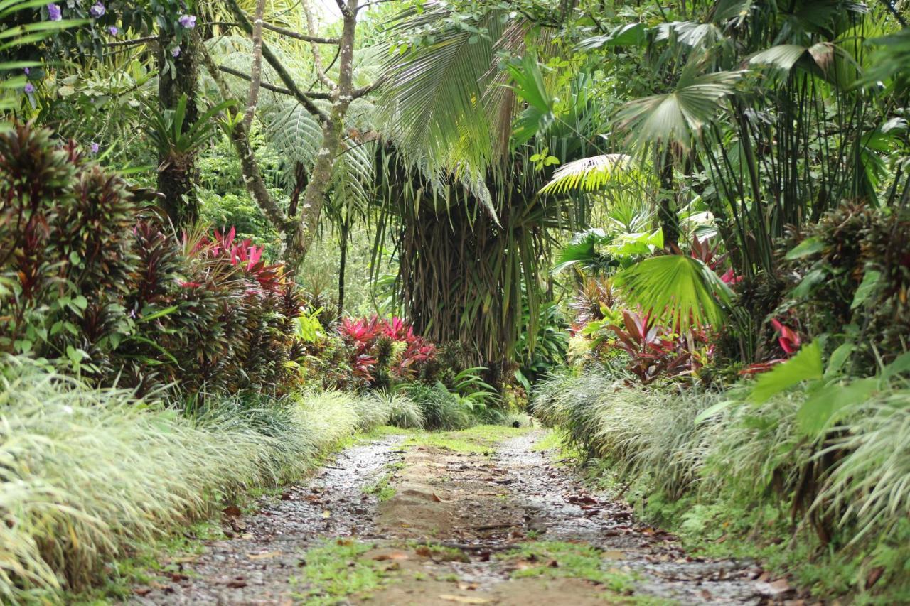 Princesa De La Luna Ecolodge La Fortuna Zewnętrze zdjęcie