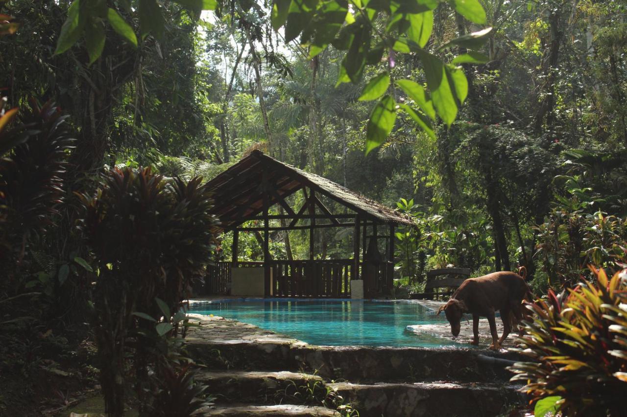 Princesa De La Luna Ecolodge La Fortuna Zewnętrze zdjęcie