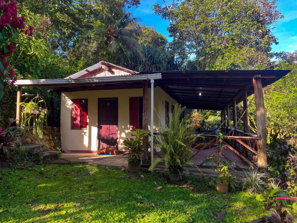 Princesa De La Luna Ecolodge La Fortuna Zewnętrze zdjęcie