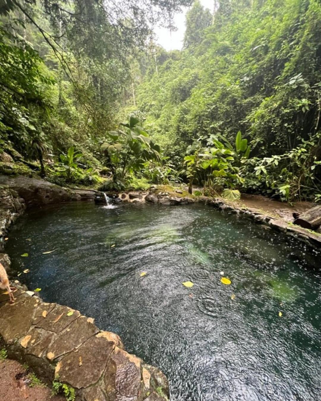 Princesa De La Luna Ecolodge La Fortuna Zewnętrze zdjęcie