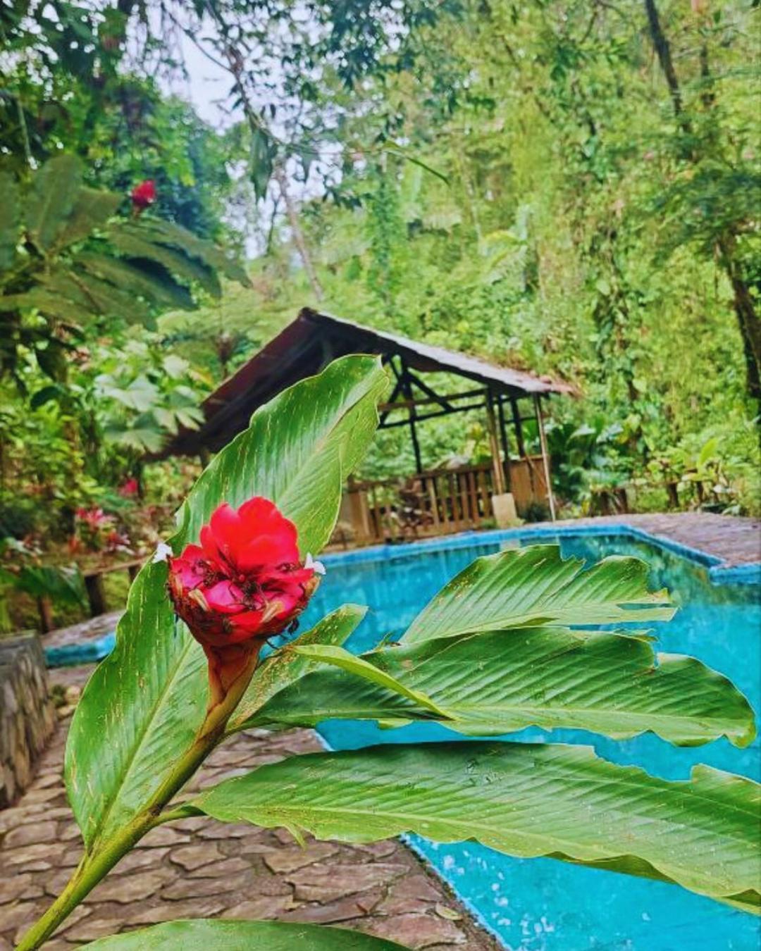 Princesa De La Luna Ecolodge La Fortuna Zewnętrze zdjęcie