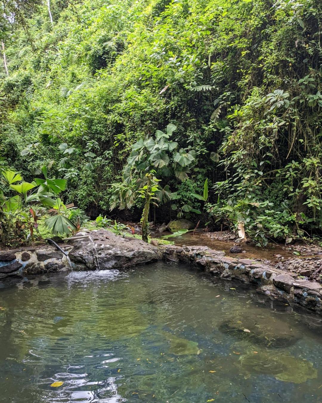Princesa De La Luna Ecolodge La Fortuna Zewnętrze zdjęcie