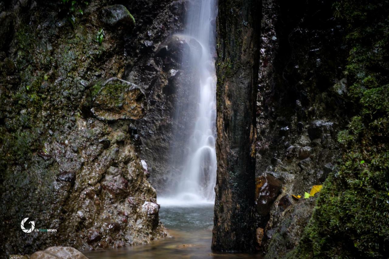 Princesa De La Luna Ecolodge La Fortuna Zewnętrze zdjęcie