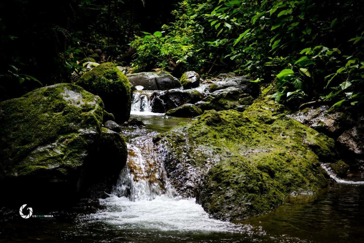 Princesa De La Luna Ecolodge La Fortuna Zewnętrze zdjęcie