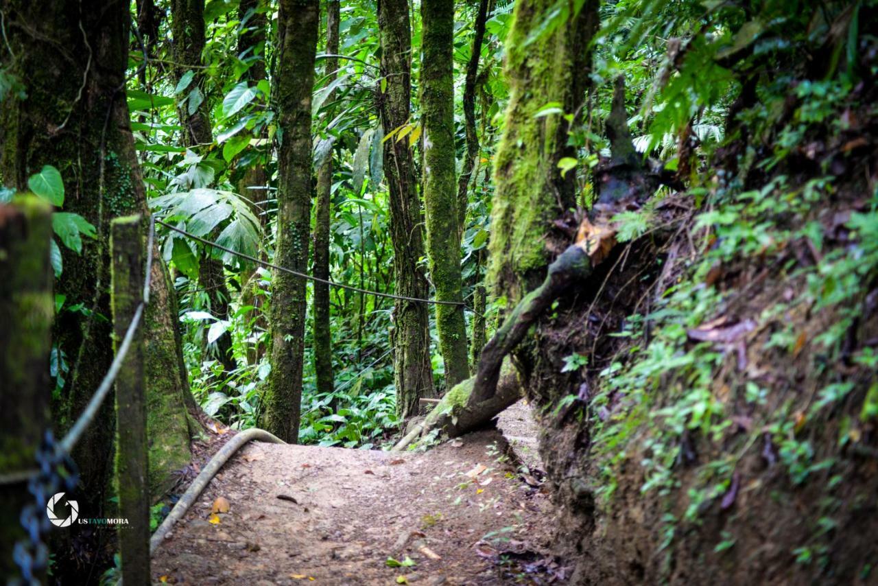 Princesa De La Luna Ecolodge La Fortuna Zewnętrze zdjęcie