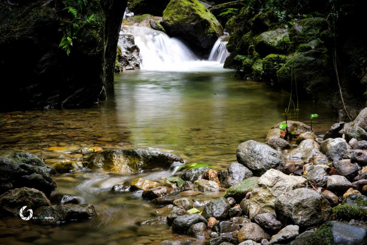 Princesa De La Luna Ecolodge La Fortuna Zewnętrze zdjęcie